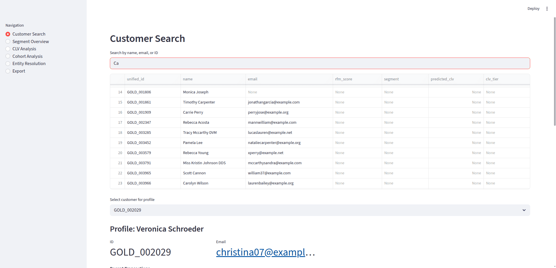 Customer 360 - Customer Search