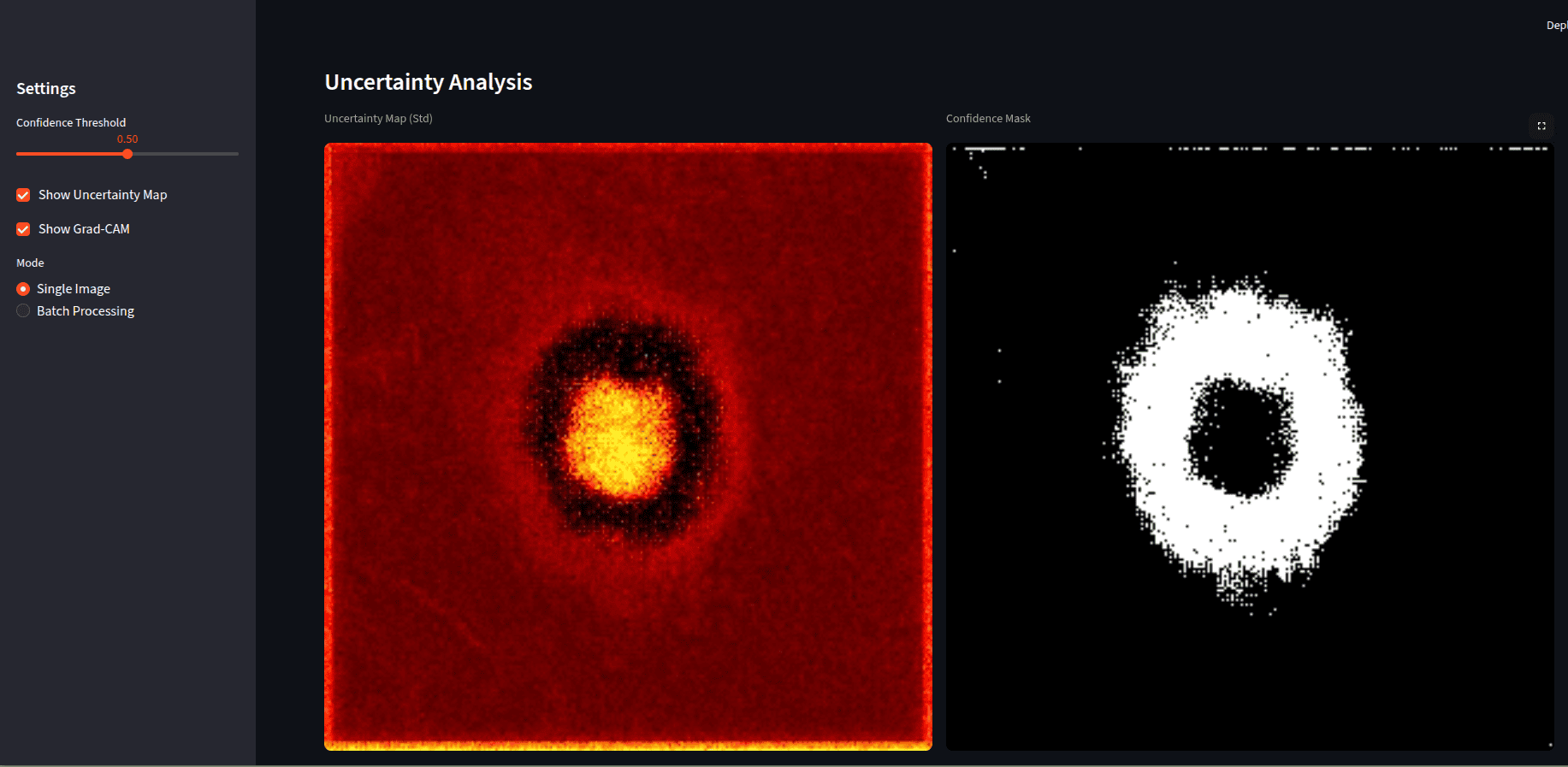 Medical Image Segmentation - Uncertainty Analysis